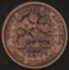 sac003.jpg