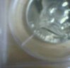 wit3.jpg