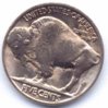 Buffalo 38 D-S rev .jpg