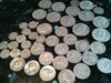 bank coins.jpg