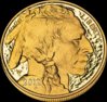 gold-buffalo.jpg