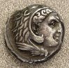 Copy of Punic Horse and Palm Obv.jpg