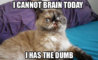tumblr_mjcji7ID6t1rz94yco1_1280.jpg