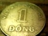 dong1.jpg