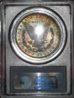 SDC17424.jpg