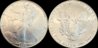 1990 Silver Eagle Take 2.jpg