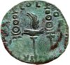 Augustus19 rev.jpg