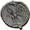 syr eagle b.jpg