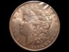 1889 Morgan ob.jpg