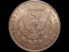 1889 Morgan rv.jpg