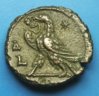 Aurelian8 REV.jpg