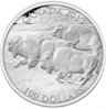 bison100.jpg