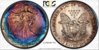 SAE 1988 Toned Coin.jpg