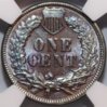 1886rev.jpg