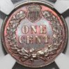 1886rev.jpg