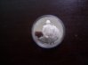 IMG_20130520_124733.jpg