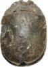 scarab Lot 2022 a.jpg