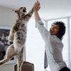 High-Five.jpg