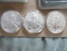DSC02877.jpg