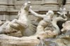 hippocamp photo 1.jpg