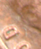 1958-OC5.jpg