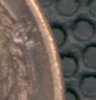 wheatdent4.jpg