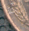 wheatdent2.jpg