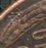 wheatdent.jpg