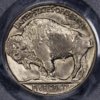 1938D Buffalo MS66 Rev.jpg