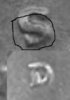 1946 S 1C upside down D's.jpg