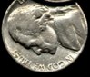 1975 D Nickel Crack plank.jpg