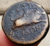 Hadrian7 REV.jpg