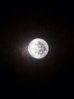 IMG_20130604_213041.jpg
