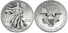 2013 American Eagle West Point Enhanced Unc.jpg