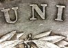 uni (united) doubling and inside leaves nightempler.jpg