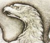 doubling eagles head nightempler (2).jpg