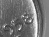 1958-D 1c Wheat W 7 Ngc UC #1 5x.JPG