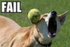 fail 5a.jpg