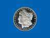 screen saver Morgan Dollar.jpg