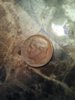 Dime-Heads.jpg