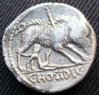 C Hosidius Cf Geta REV.jpg