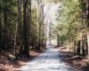 country road.jpg