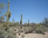 Arizona Desert.jpg