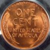1951-D PCGS R.JPG