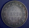 1900 newf r.jpg