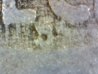 Image36.jpg