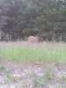 IMG_20130606_211708.jpg