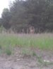 IMG_20130606_211537.jpg