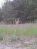 IMG_20130606_211447.jpg