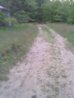 IMG_20130606_210943.jpg